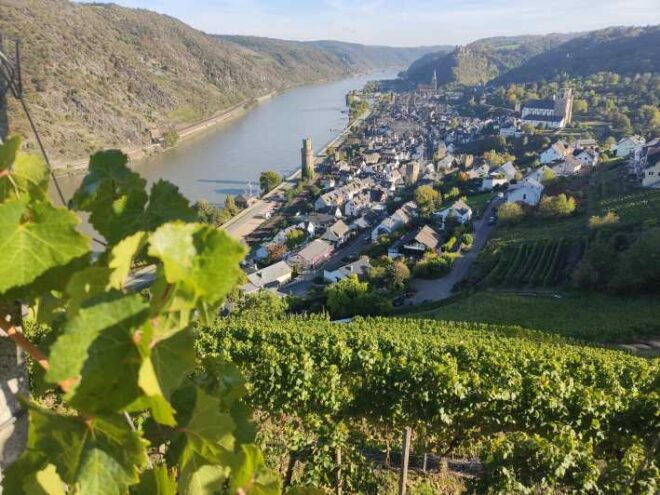 Private Rhine Valley Tour With River Cruise & Wine Tasting - Tour Experience