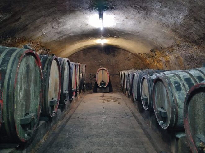 Private Rhine Valley Tour With River Cruise & Wine Tasting - Included Services