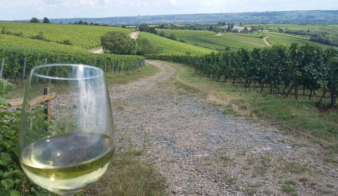 Private Rhine Valley Tour With River Cruise & Wine Tasting - Customer Feedback