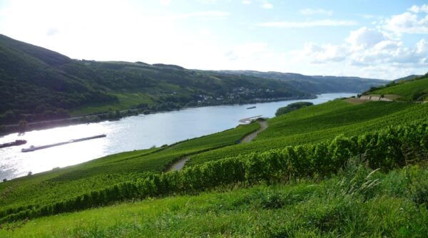 Private Rhine Valley Tour With River Cruise & Wine Tasting - Booking Information