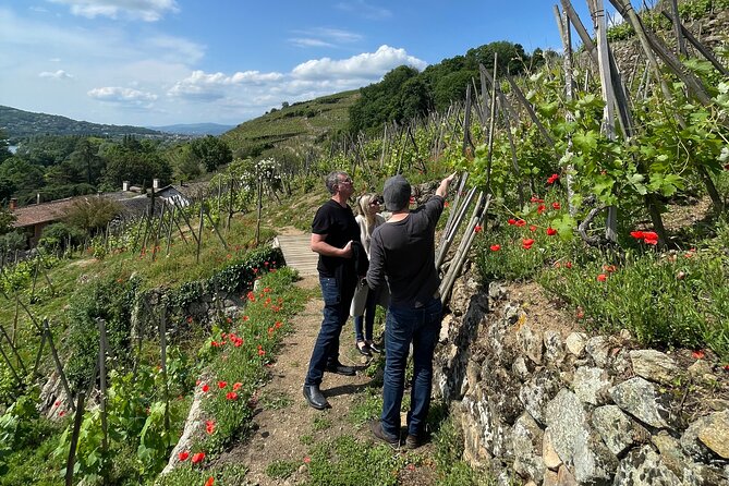 Private Rhône-Valley Wine Tour From Lyon With a Wine Expert - Expert Wine Guide