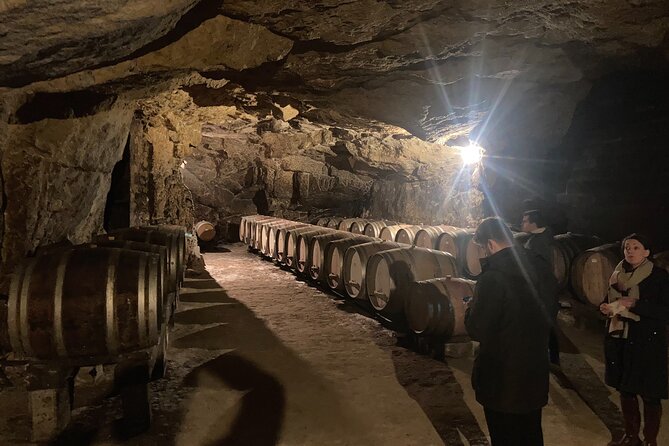 Private Rhône-Valley Wine Tour From Lyon With a Wine Expert - Private and Personalized Experience