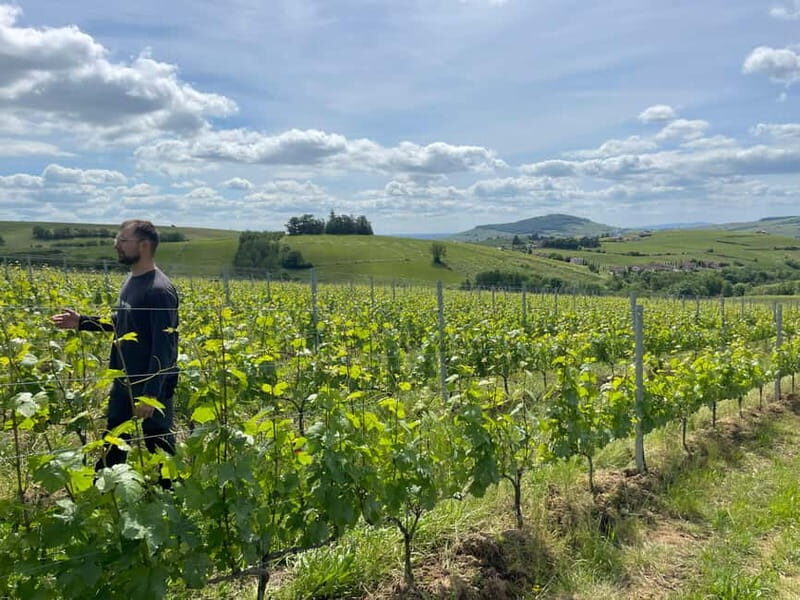 Private Rhône-Valley wine tour - A Deep Dive into the Private Rhône-Valley Wine Tour