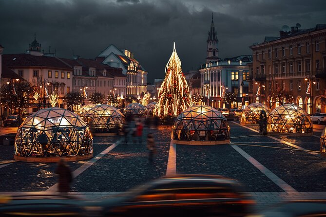 Private Riga Vilnius Transfer and Tour - Frequently Asked Questions