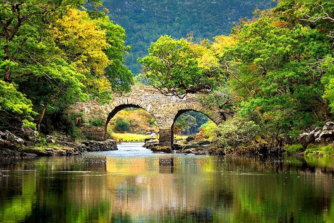 Private Ring of Kerry Tour in Ireland - Reviews and Feedback