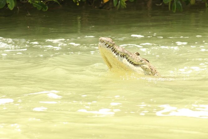 Private Rio Lagartos Flamingo and Pink Lakes - Cancellation Policy