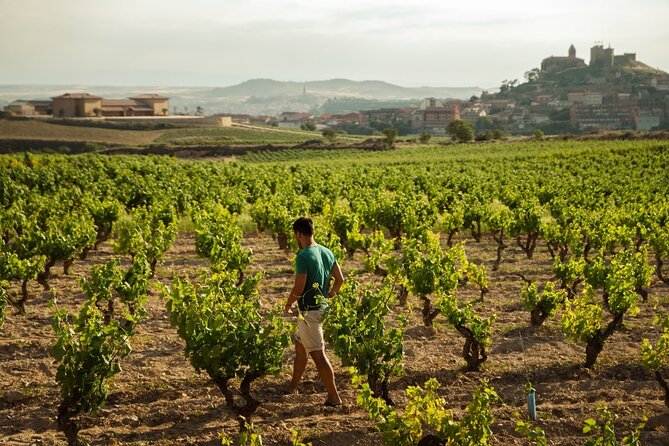 Private Rioja Wine Tasting and Lunch Tour From San Sebastián  - San Sebastian - Wine Tasting at Two Wineries