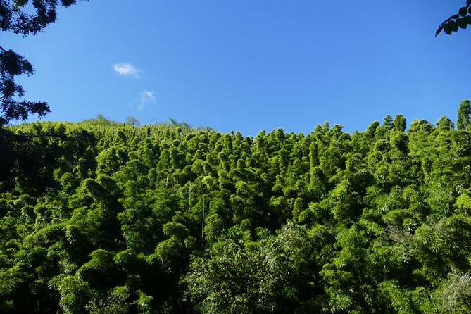 PRIVATE Road to Hana Tour - Local Provider Information