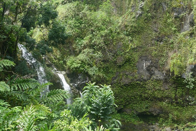 PRIVATE Road to Hana Tour - Common Questions