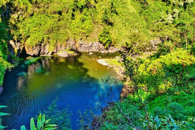Private Road to Hana Tour - Full Day LARGE GROUP - Group Size and Availability