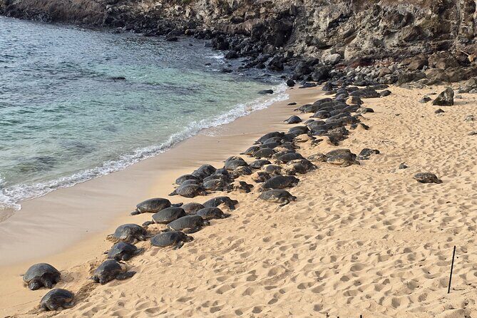 Private Road to Hana Tour with Pickup - Exploring the Road to Hana: What to Expect