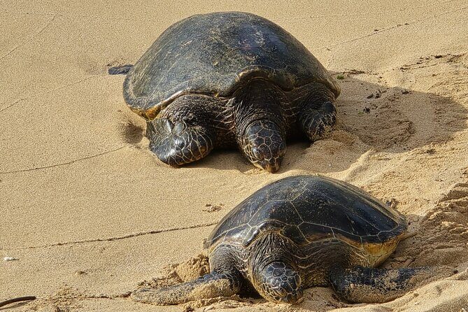 Private Road to Hana Tour with Pickup-Ultimate Package, Backside - A Closer Look at the Itinerary