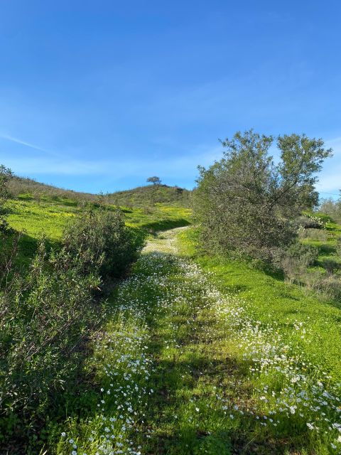 Private Road Trip, Eastern Algarve: History & Magical Nature - Booking Details