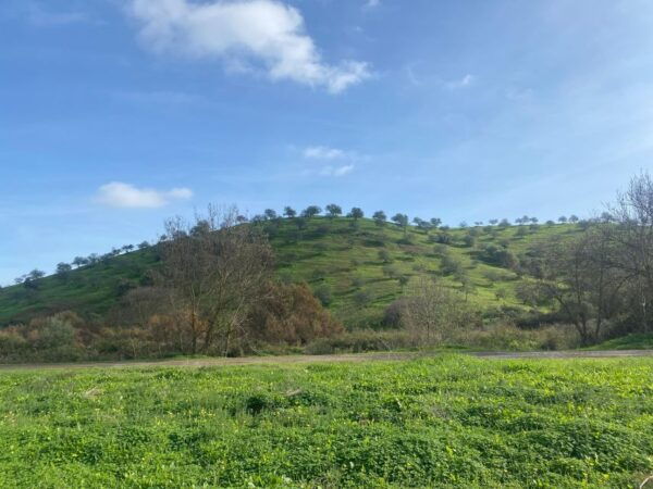 Private Road Trip, Eastern Algarve: History & Magical Nature - The Sum Up