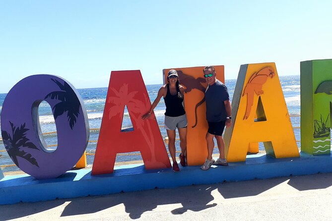 Private Roatan City Tour Monkeys & Sloths With Zipline - Tour Highlights