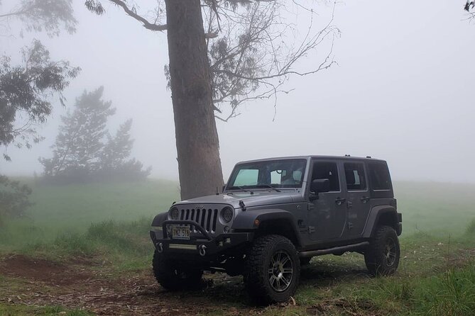 Private "Rocky Coast Excursion" Jeep Tour in Maui Island - Traveler Photos and Reviews