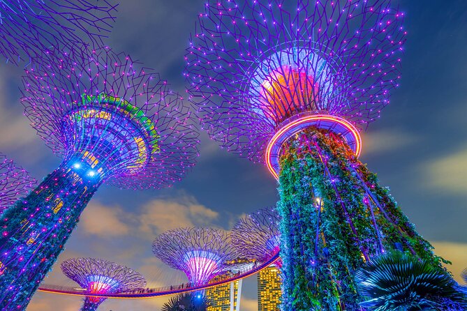 Private Romantic Tour In Singapore - Operator Information