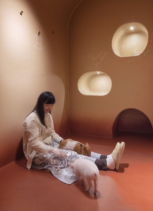 Private Room Micro Pig Cafe with Pig Treat Experience (Tokyo) - A private room, not a typical cafe stop