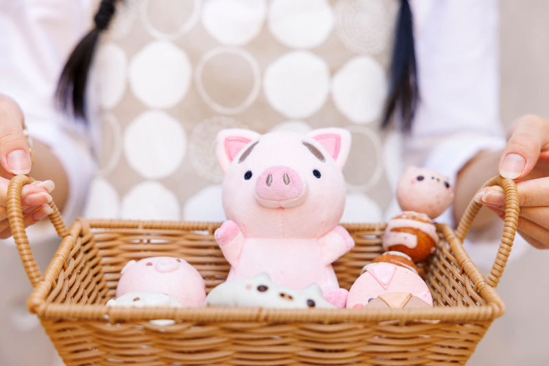 Private Room Micro Pig Cafe with Piglet Interaction and Snack Feeding Experience (Tokyo, Kichijoji) - The piglet walk needs one extra question