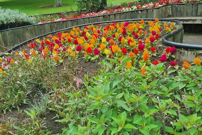 Private Rotorua Tour from Tauranga (Max 11) - FAQ