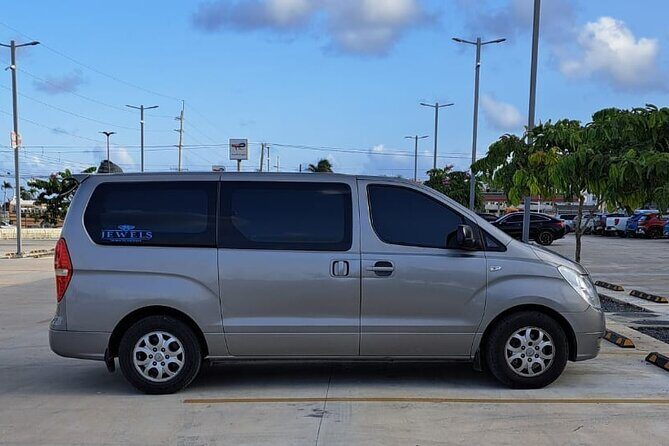 Private Roud-Trip Punta Cana Airport, to Punta Cana Hotels - What to Expect During Your Trip