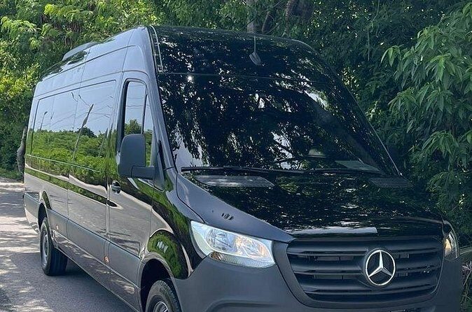 Private Roud-Trip Punta Cana Airport, to Punta Cana Hotels - Price and Value