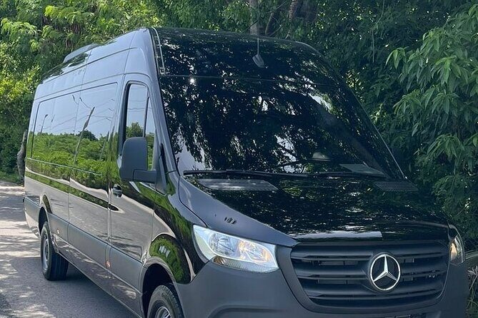 Private Roud-Trip Punta Cana Airport, to Punta Cana Hotels - Who Will Benefit Most?