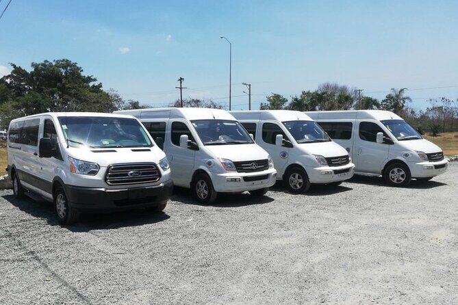 Private Round Transfer from Punta Cana airport to Hotels - Introduction