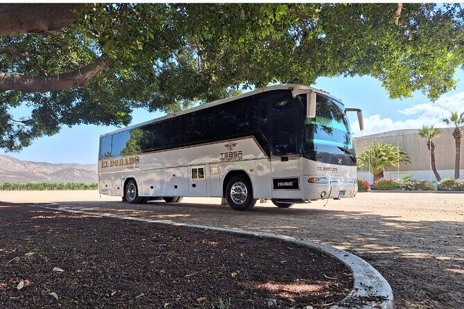 Private Round Transportation from Tijuana to Valle de Guadalupe - A Detailed Look at the Transportation Service from Tijuana to Valle de Guadalupe