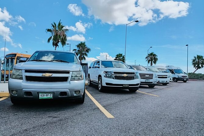 Private Round-Trip Airport Transfer Service to Cabo  - San Jose Del Cabo Airport - Important Information and Accessibility Options
