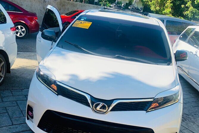 Private Round Trip La Romana Airport to Punta Cana Hotel/Villa/Rental Transfer - The Booking and Confirmation Process