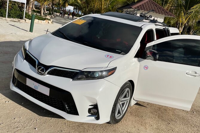 Private Round Trip Punta Cana Airport Hotel/Villa Transfer - Accessibility Information