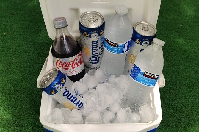 Private Round-Trip Transfer Airport and Boca de Tomatlan - Final Thoughts