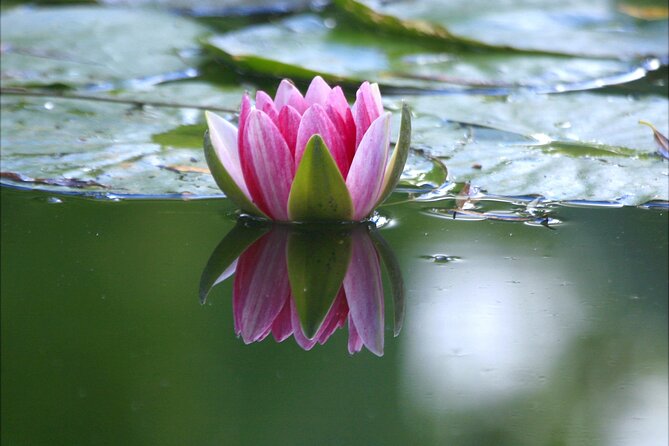 Private Round-Trip Transfer From Paris to Giverny - The Sum Up