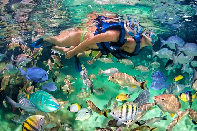 Private Round-Trip Transfer From Punta Cana Airport - Comfortable Air-Conditioned Vehicles