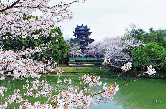 Private Round Trip Transfer to Top Wuxi Attractions from Shanghai - Who Would Love This Tour?