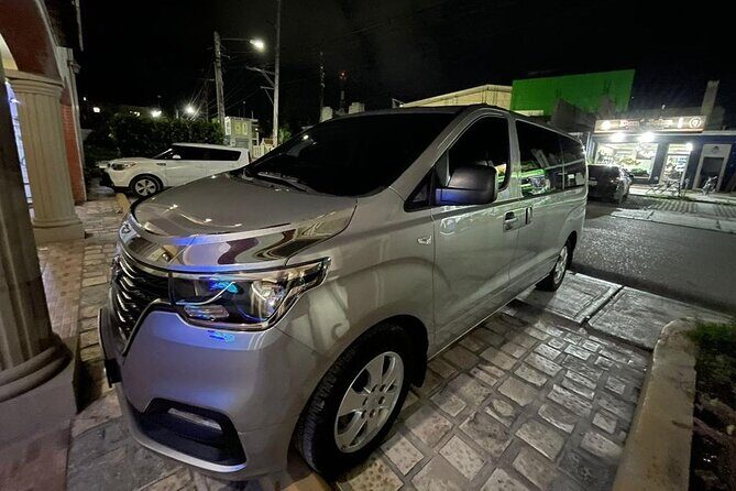 Private Round Trip Transportation for Groups in Punta Cana - Real Traveler Insights and Reviews