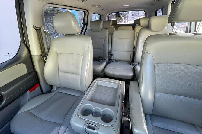 Private Round Trip Transportation for Groups in Punta Cana - Who Is This Service Best For?