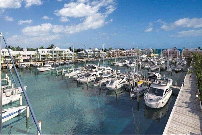 Private Roundtrip Minibus Transfer to Palm Cay - Good To Know