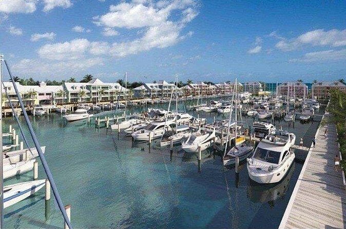 Private Roundtrip Minibus Transfer to Palm Cay - Who Should Book This Transfer?