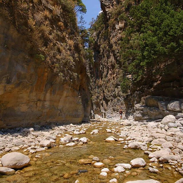 Private Roundtrip Transfer From Chania to Samaria Gorge Park - Activity Description