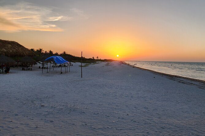 Private Roundtrip Transfer to "El Cuyo Yucatan" - Analyzing the Transfer Experience