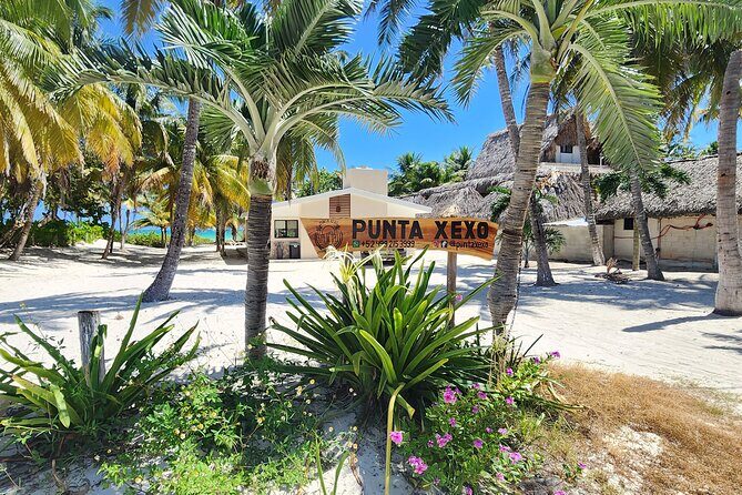 Private Roundtrip Transfer to "El Cuyo Yucatan" - Final Thoughts: Who Is This Transfer Best For?