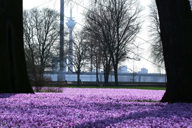Private Running Tour in Düsseldorf - Timing and End Point