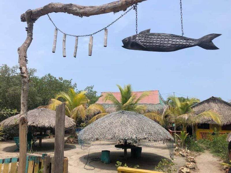 Private: Rural & Urban Dominican Life Tour: Flavors, Fields - A Closer Look at the Experience