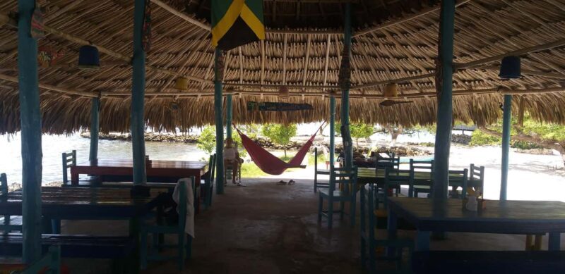 Private: Rural & Urban Dominican Life Tour: Flavors, Fields - Final Thoughts