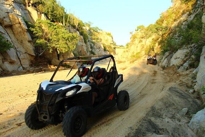Private RZR tour, handmade quesadillas and Pacific Arch! - Why This Tour Is Worth Considering
