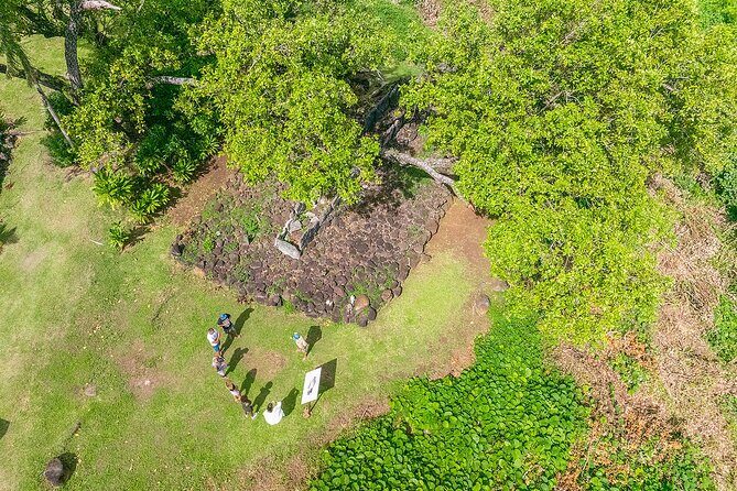 Private Safari Adventure Tour in Bora Bora with Local Guide - A Closer Look at the Bora Bora Private Safari Tour