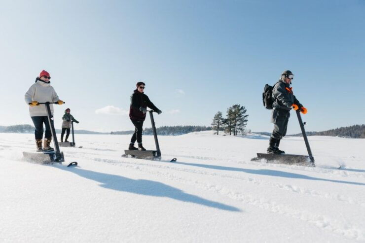 Private Safari by Electric Snow Scooters in Puumala - Good To Know