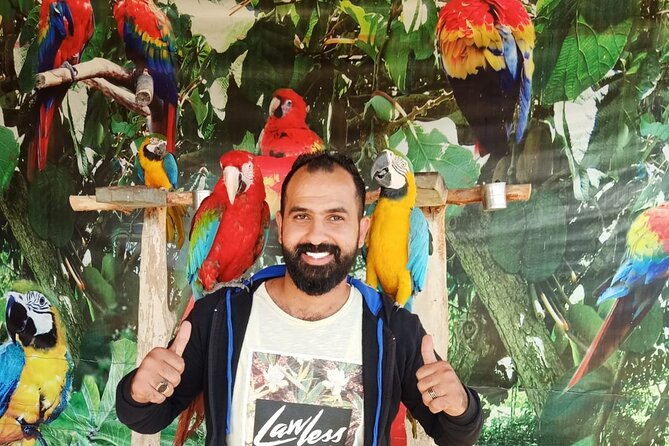 Private Safari Tour To Africano Park Alexandria From Cairo - Inclusions